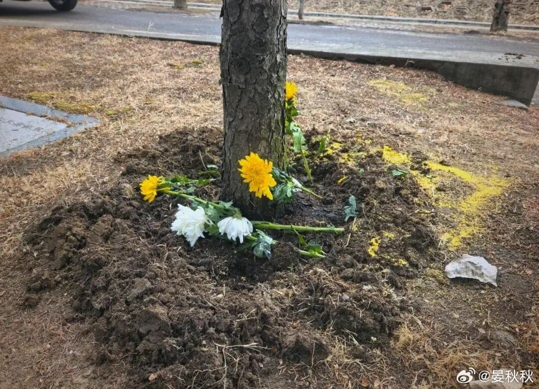 高价墓地不行了？不知道你有没有这种感觉，身边讨论“买墓地”的人，少了。以前总觉得