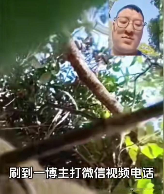拨打丢失的手机居然接通了，接起电话的却是一只猴子。博主给丢失的手机打去视频