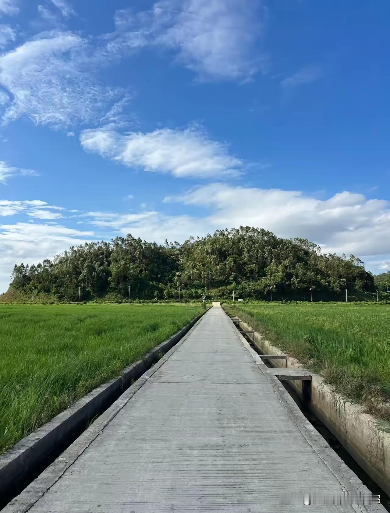 大家去医院有没有发现？最近妇科门诊人少了，做了10年妇科助理的同学说可能要失业