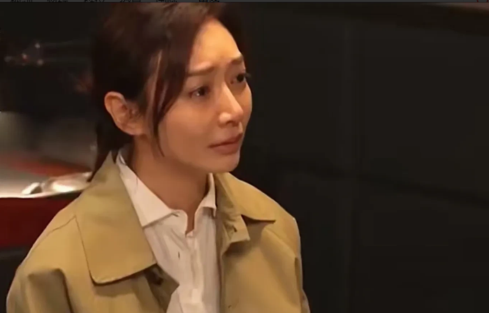 《以法之名》大结局：洪亮真的做梦都没有想，13年前的枪杀案，妻子竟然充当了这