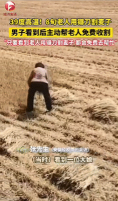 河南郑州，一8旬老人拿着镰刀在39度的高温下割麦子，这一幕被开着收割机的男子看到