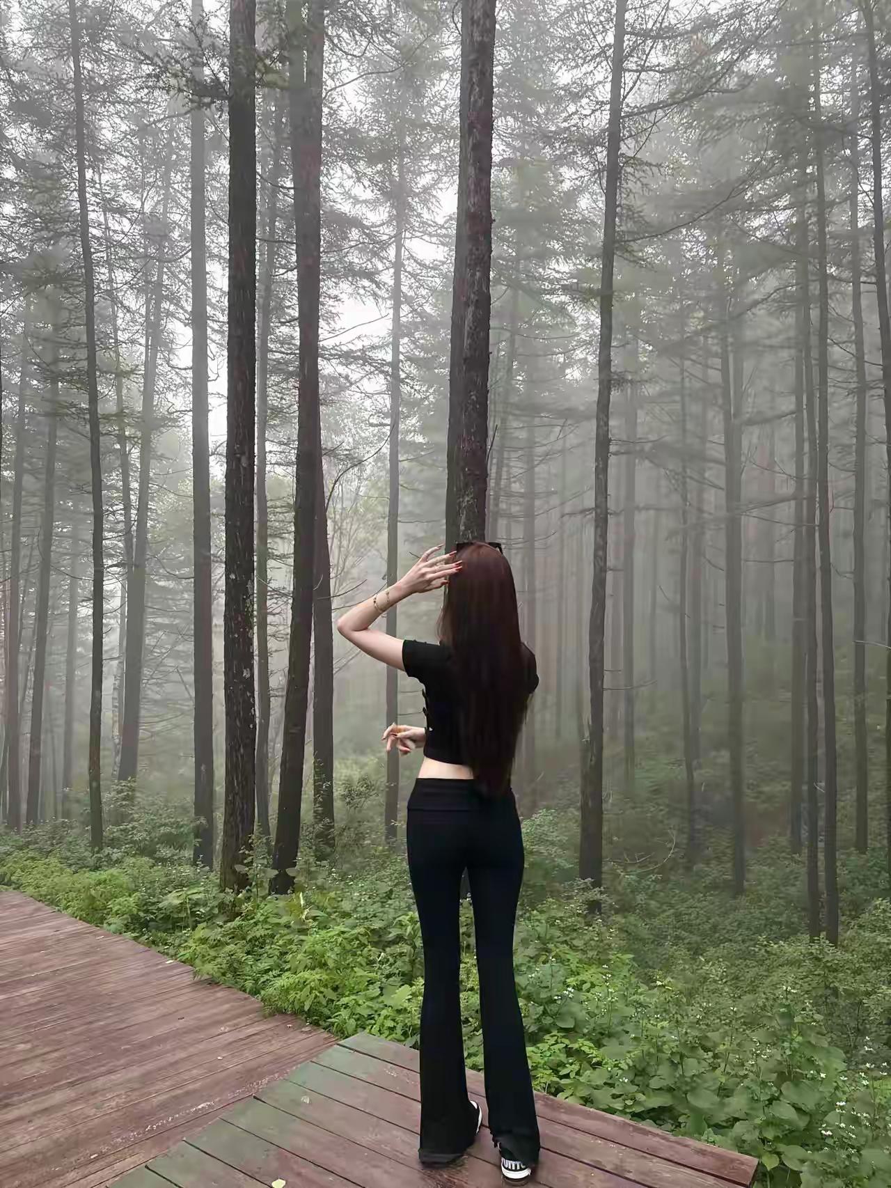 周末爬山去？新鲜的空气，静谧的森林。