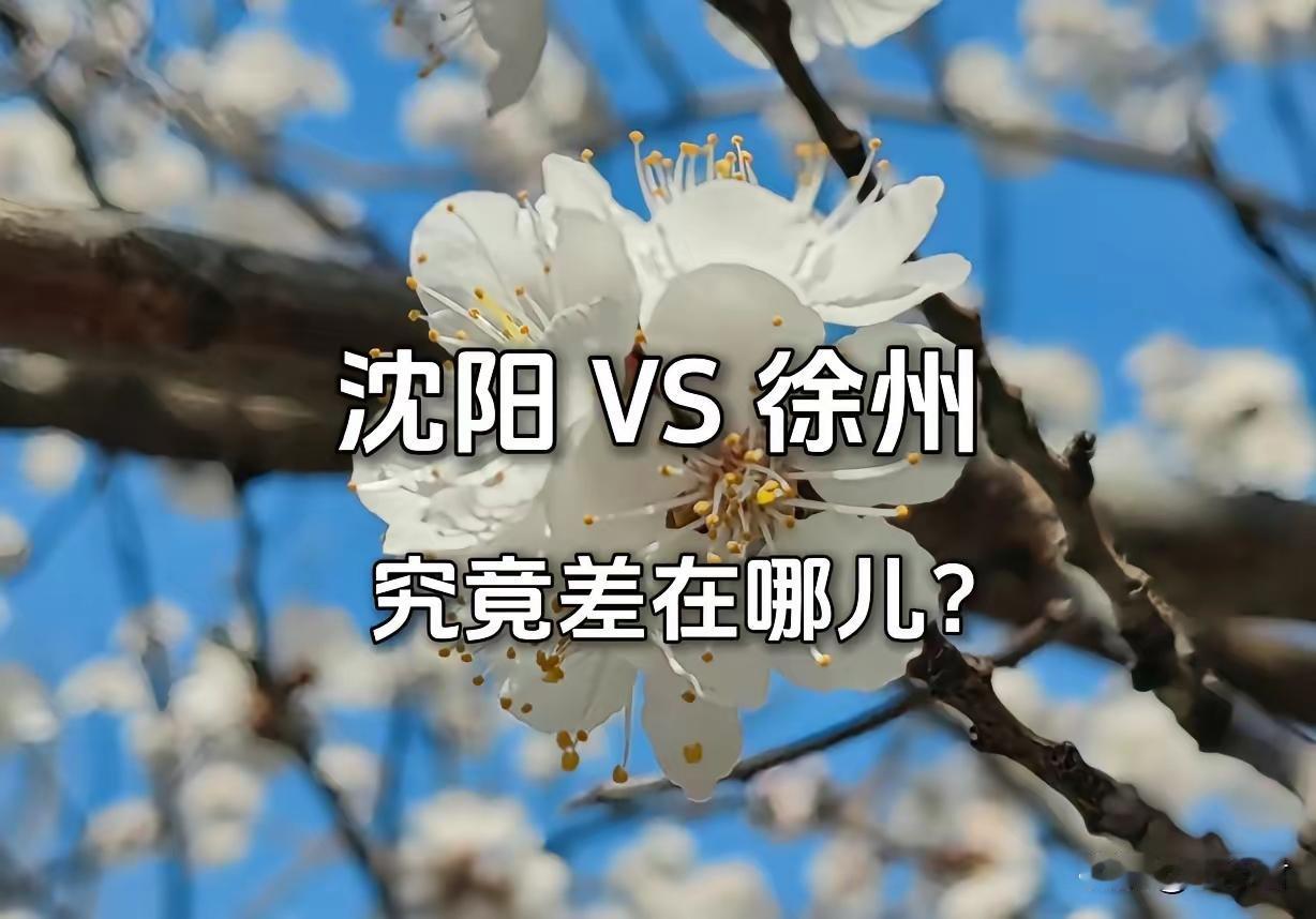 记录我的2026老徐别飘飘然了，比拼沈阳，除GDP、人均GDP略胜一筹外，其财