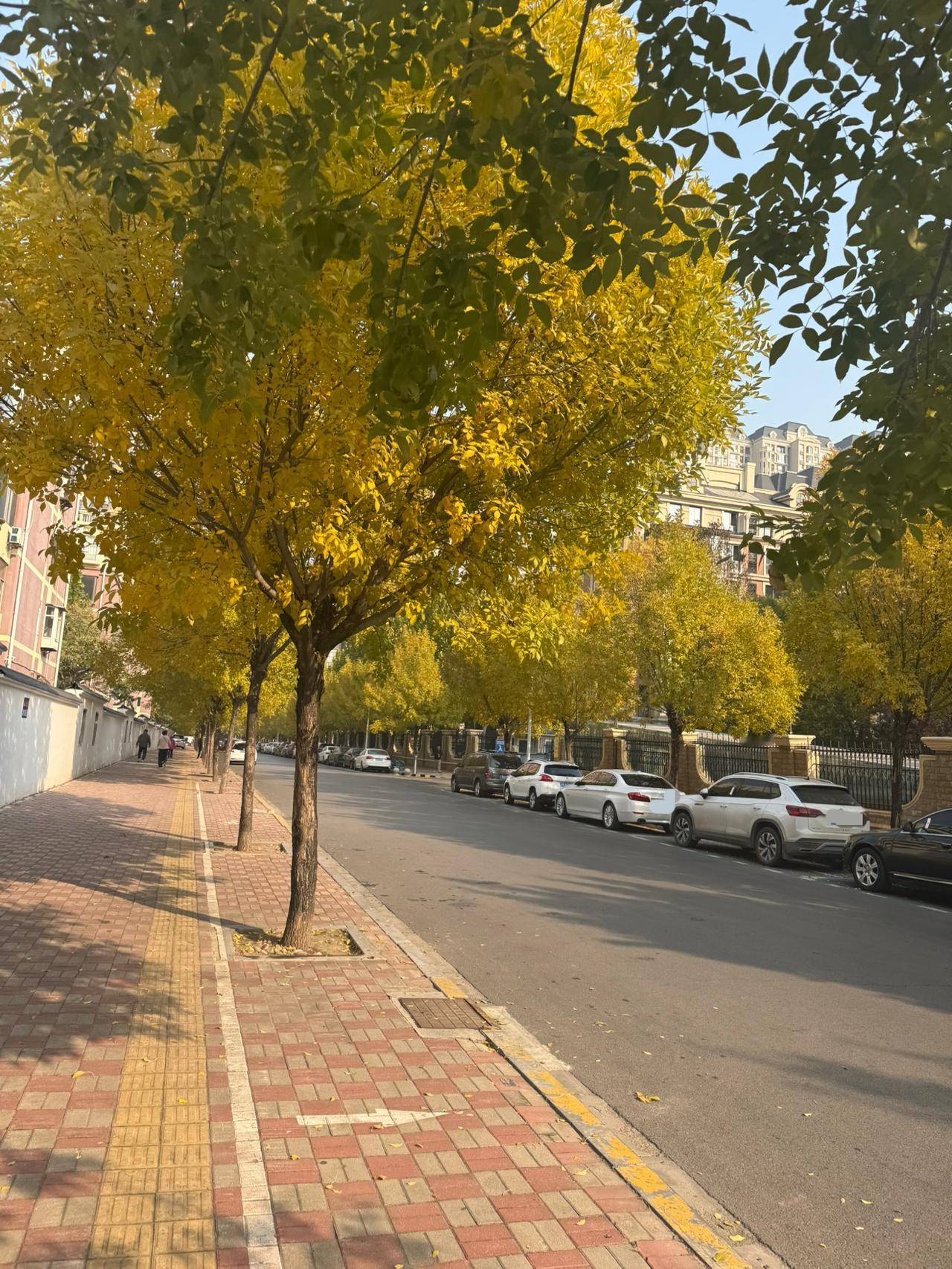 儿子感染甲流花了2400，我去保险公司报学平险！没想到！有网友居然笑我：你