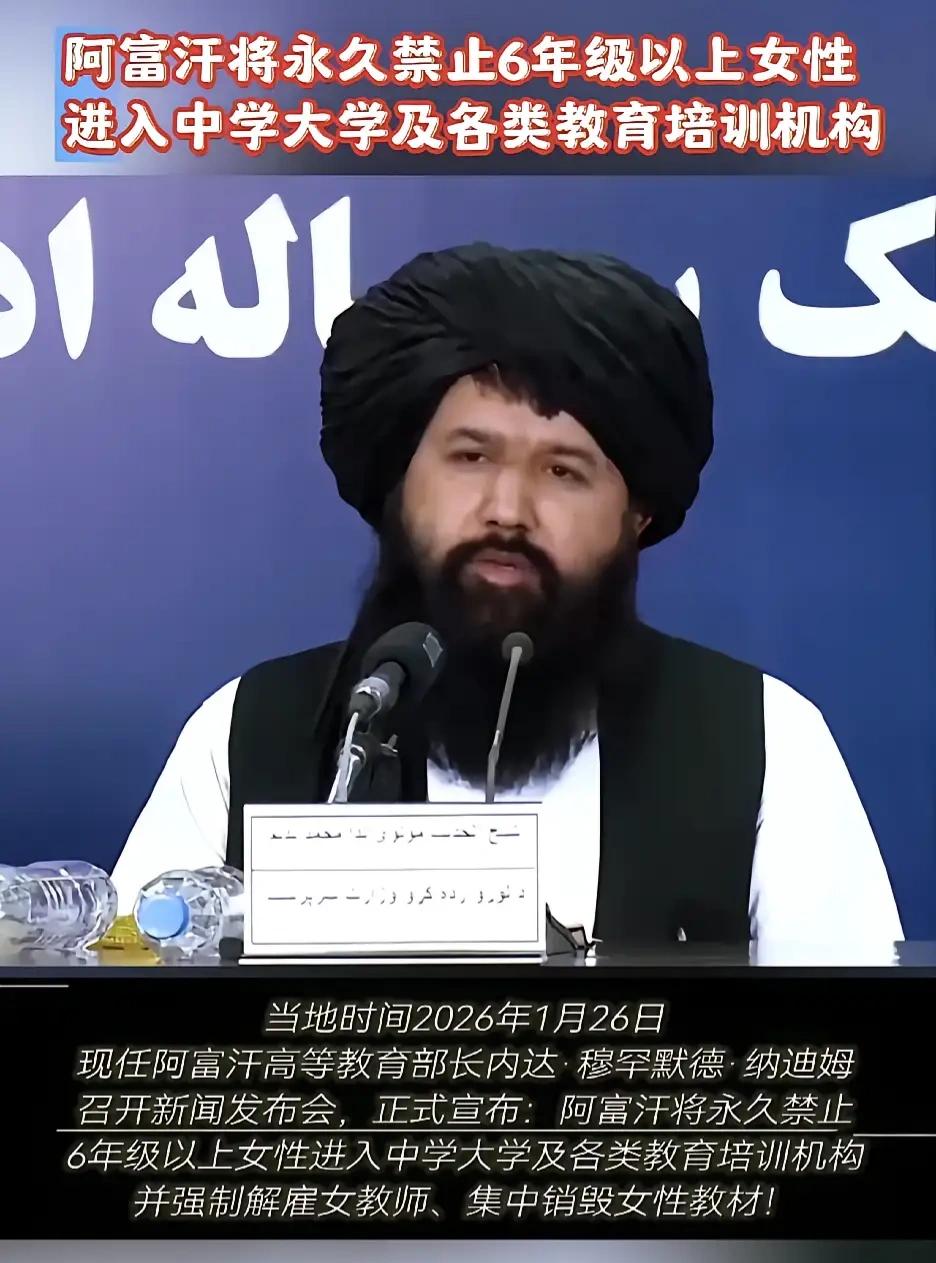 看看，我们都是一些什么邻居啊！😯😯😯