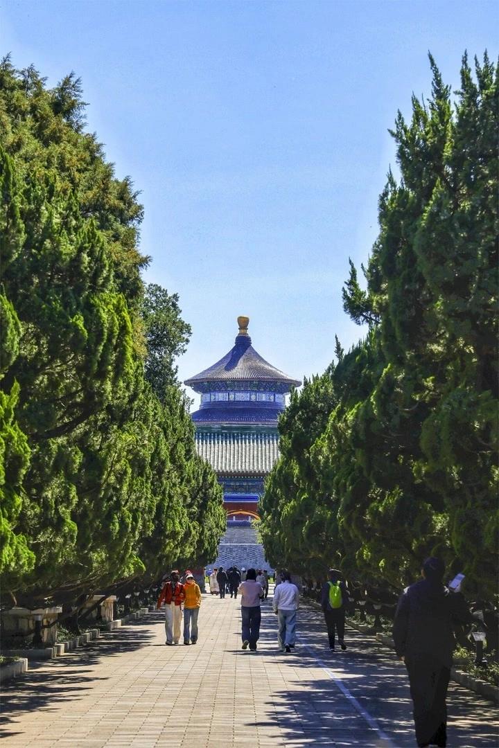 “坛之后，树以松柏”。天坛园内有古树3000余株，绝大部分为古柏。其中著名的