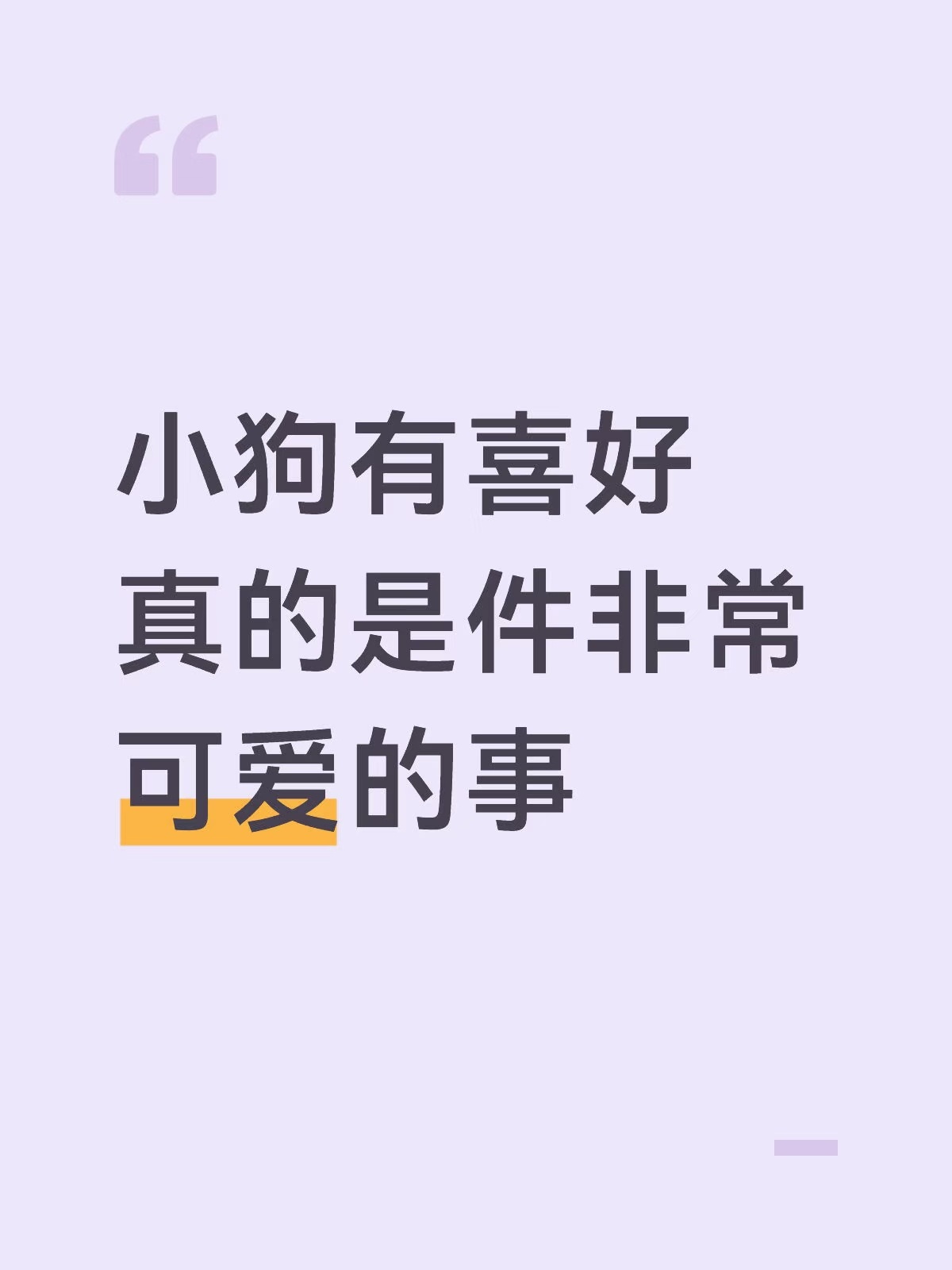 小狗有喜好真的是件非常可爱的事