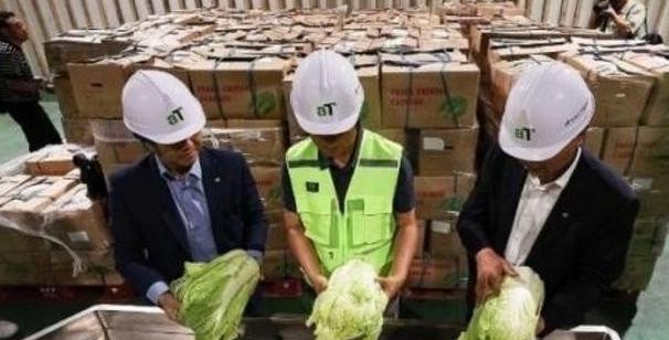 “中国要被我们拖垮了！”2024年上千韩国人拒买中国进口白菜，本想给中国一个下马