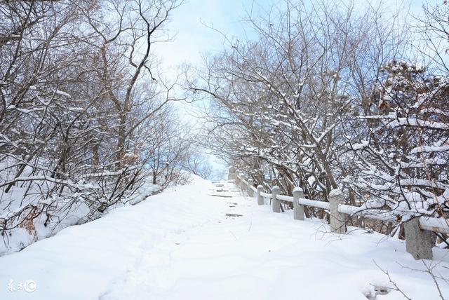 这个冬天没下雪