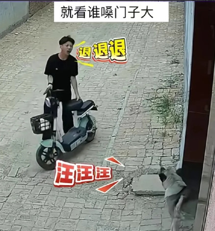 退！退！退！狗都不叫了小伙还在叫！6月14日，山东一小伙骑电瓶车从小巷子经过，突