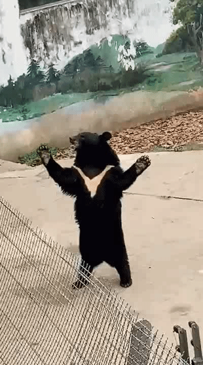 没有想到高市早苗的支持率这么高，在外访活动中似乎还挺受欢迎的，继续努力。高市早