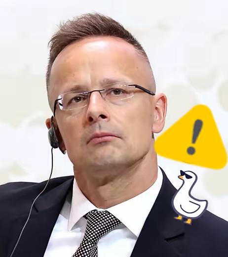 匈牙利消息！12月9日，匈牙利外长西雅尔多在莫斯科放话，不管别人怎么逼迫，匈牙