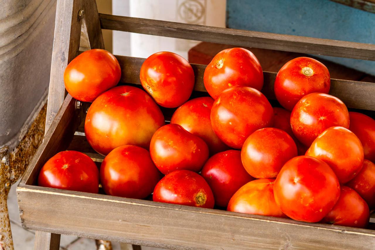 63岁大妈，每天饭前吃一颗西红柿，7个月后，身体的变化让人羡慕血压高、血脂偏