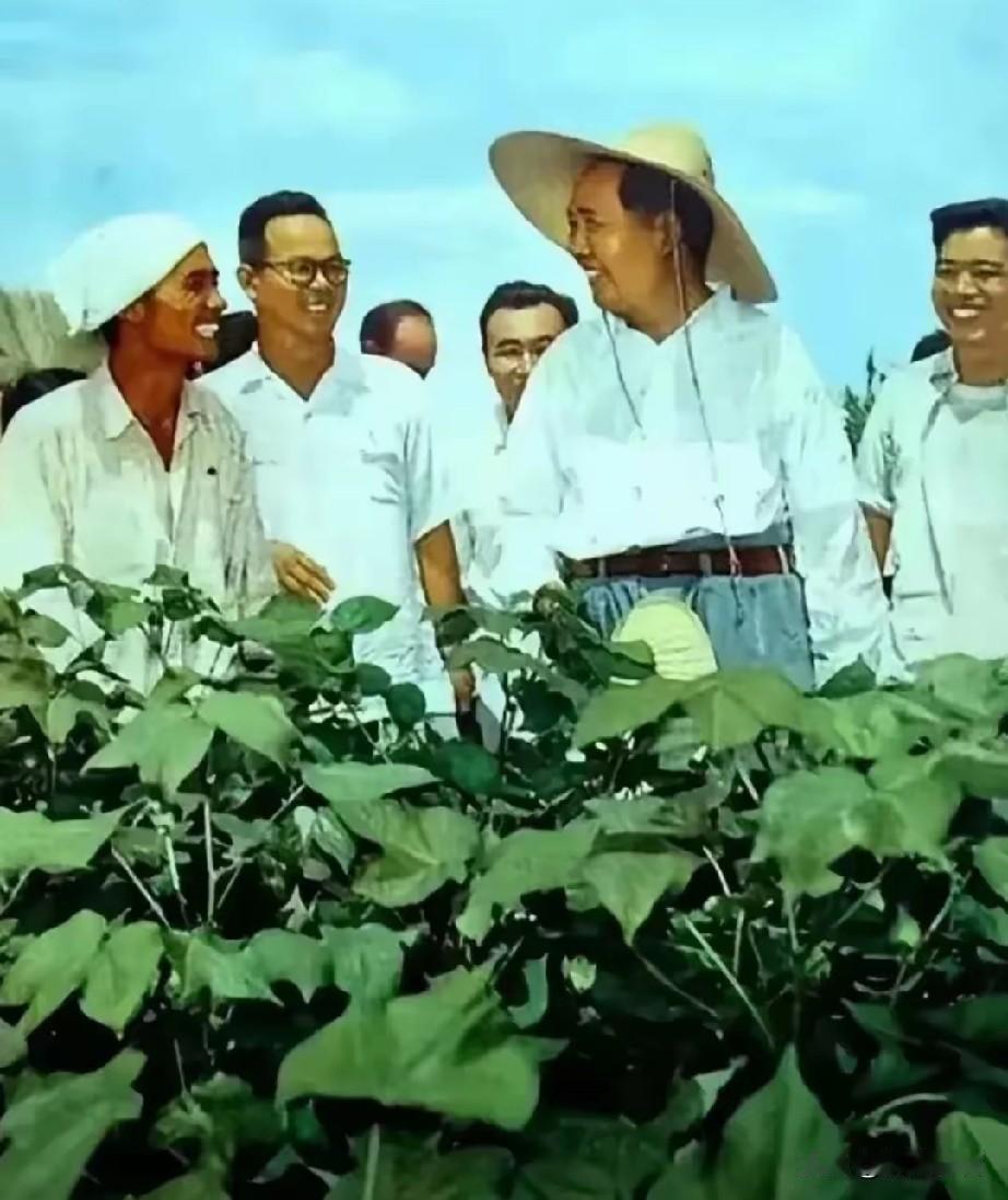 ⚙️实践真知，知行合一！🙏敬爱的毛主席，致敬您实践哲学，铭记不朽认知箴言！实践