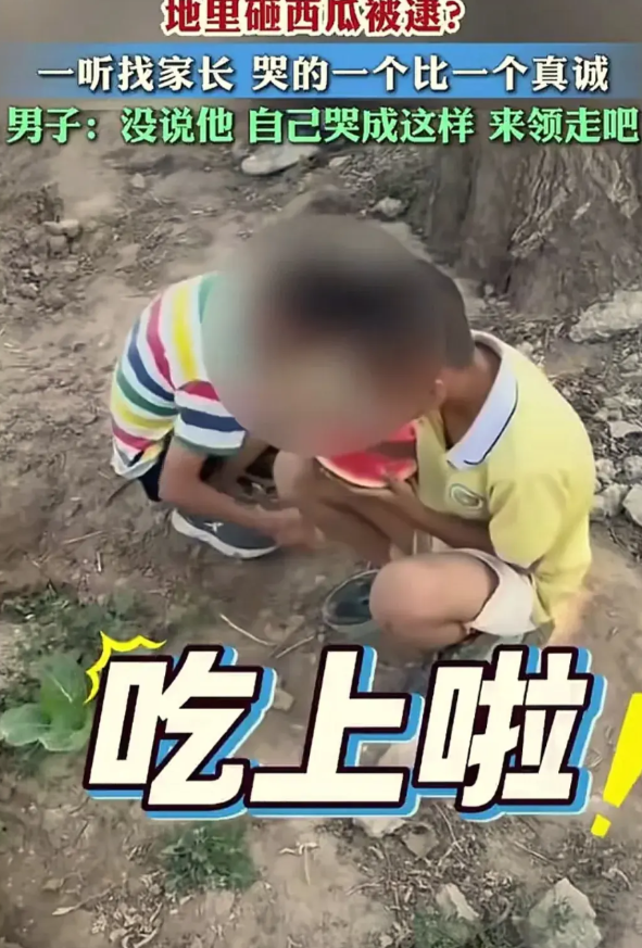 四个小男孩去西瓜地里砸西瓜，被现场抓包。一听说要喊家长，小朋友就哭的稀里哗啦的。