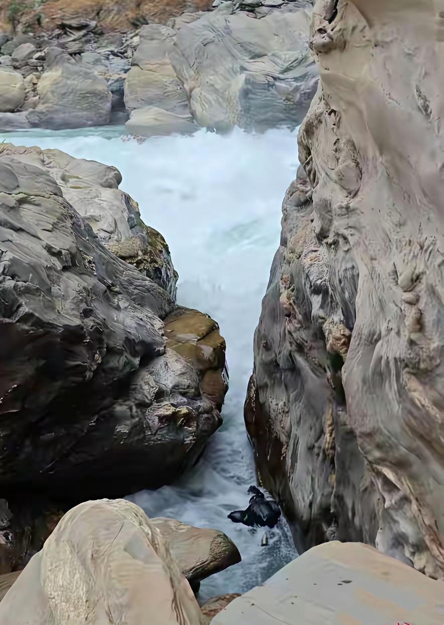 几秒侥幸，一生遗憾！虎跳峡准新郎的悲剧，给所有人敲响警钟刚拍完婚纱照，满心