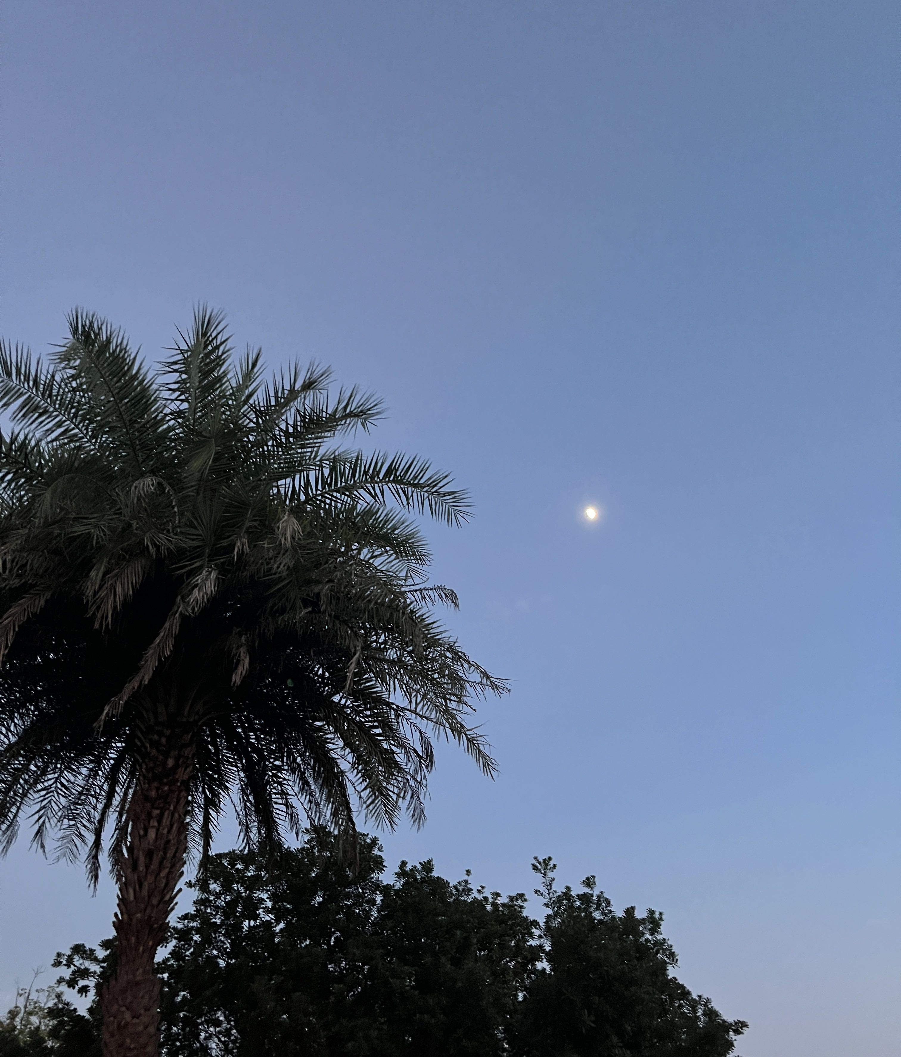 还没过门的儿媳妇未婚先孕了，现在儿子带回家来，和我们老两口商量婚事。老伴