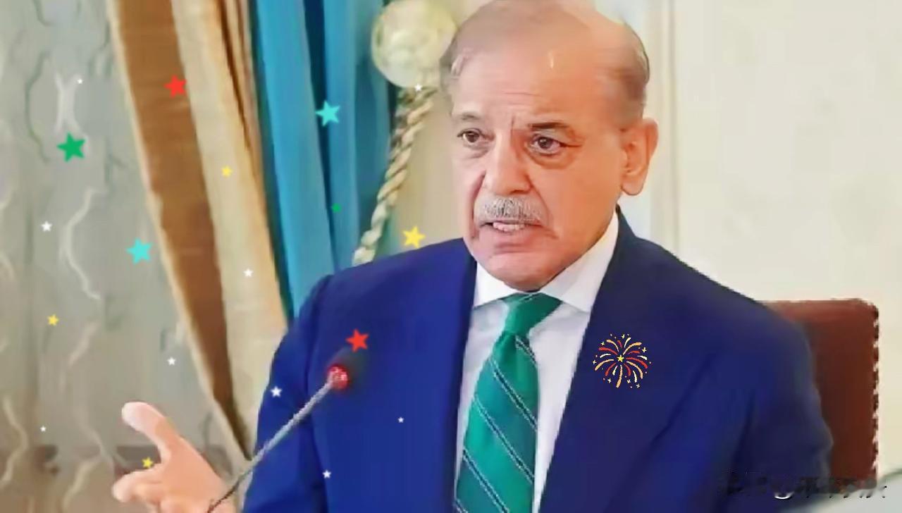 果不其然啊2025年11月底至12月初，巴基斯坦新任驻日大使阿卜杜勒·哈米德