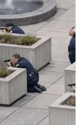 自由美利坚肥雪还在CD大招