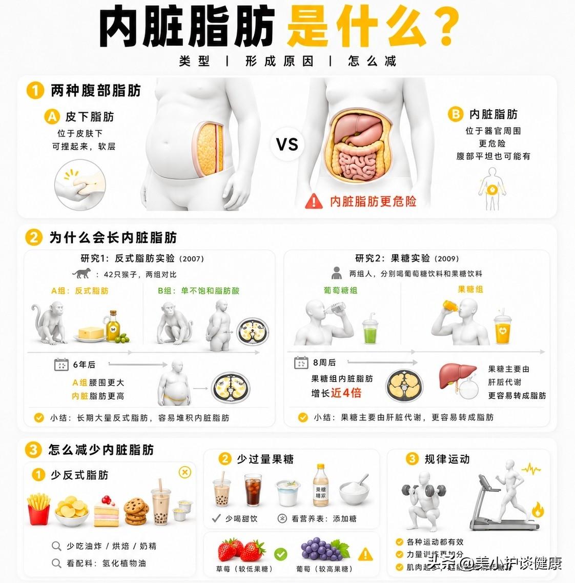 认识内脏脂肪，呵护身体健康腹部脂肪可分为皮下脂肪和内脏脂肪。皮下脂肪位于皮肤下
