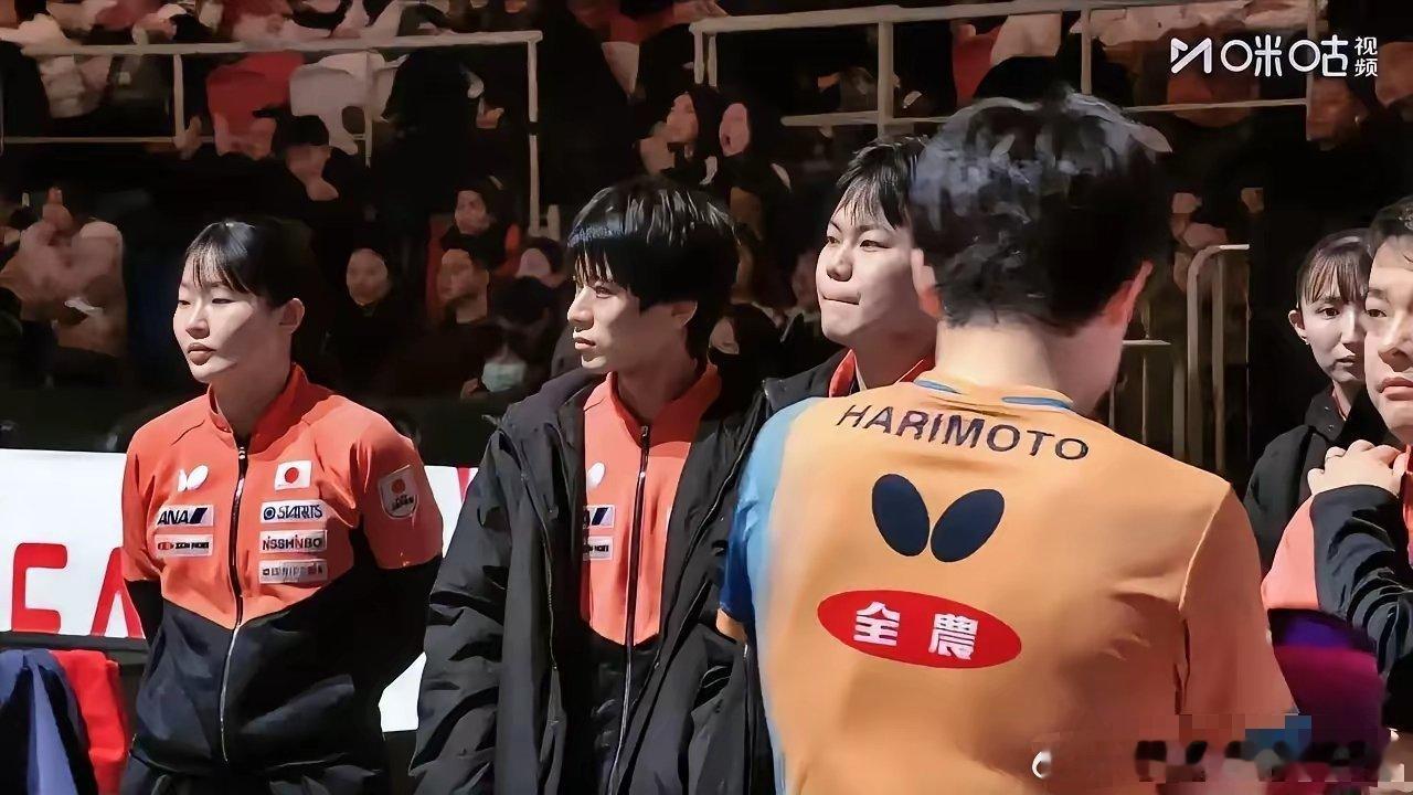 张本智和“四面楚歌”！1、现场全是倒戈！2、户上隼辅神之蔑视！3、松岛辉空爱搭不