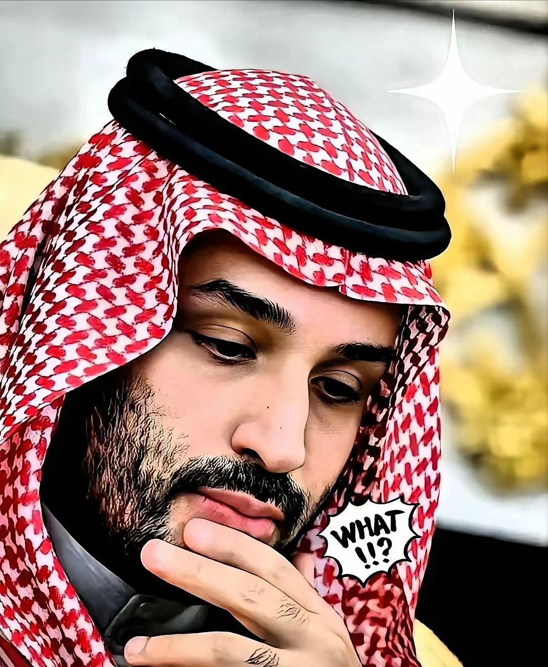 沙特这回是真把桌子给掀了。25艘超大油轮，满载5000万桶原油，完全不理会霍尔