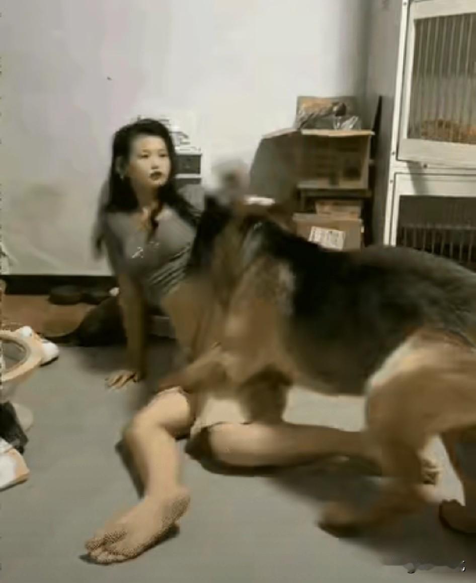 城里明文规定不让养大狗，怎么到处都是就是没人管？大家都知道，大型犬压根不让在城