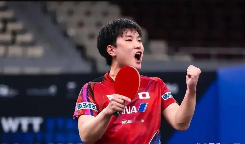 张本智和晋级、弗朗西斯卡出局!张本智和11-6、11-3、11-1战胜波兰选手