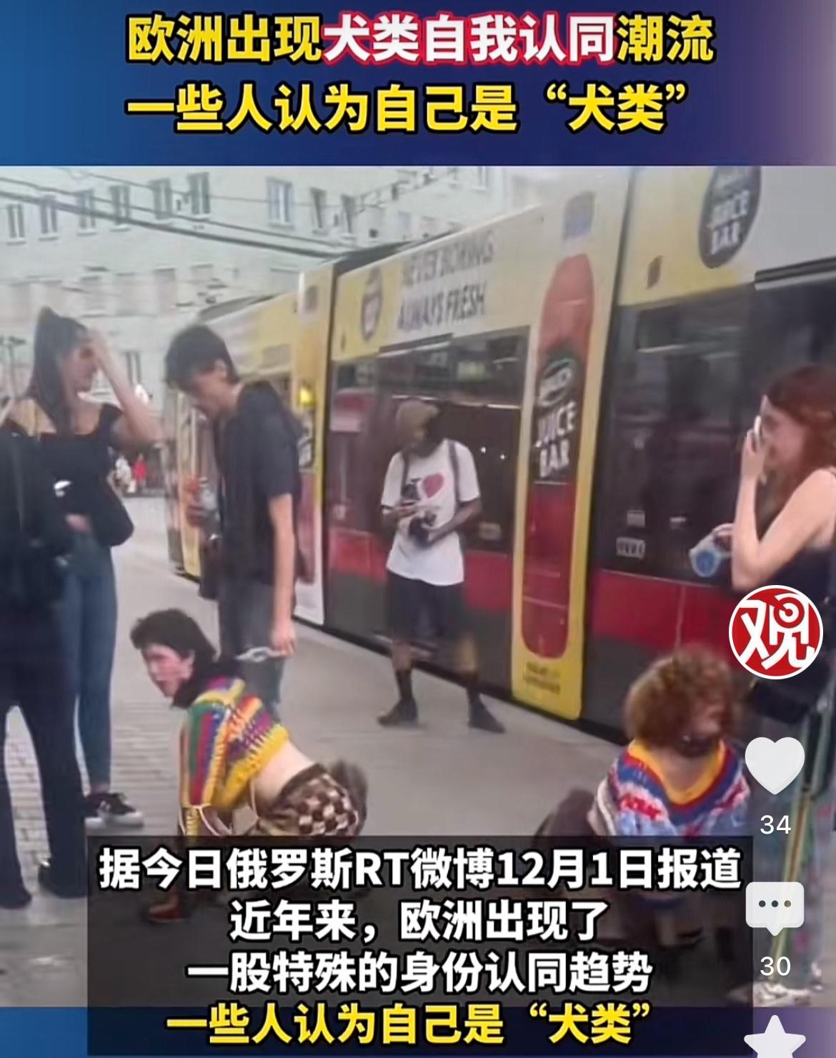 匪夷所思近日，据外媒报道，欧洲近年来兴起一股“犬类自我认同”潮流。欧洲人会戴上