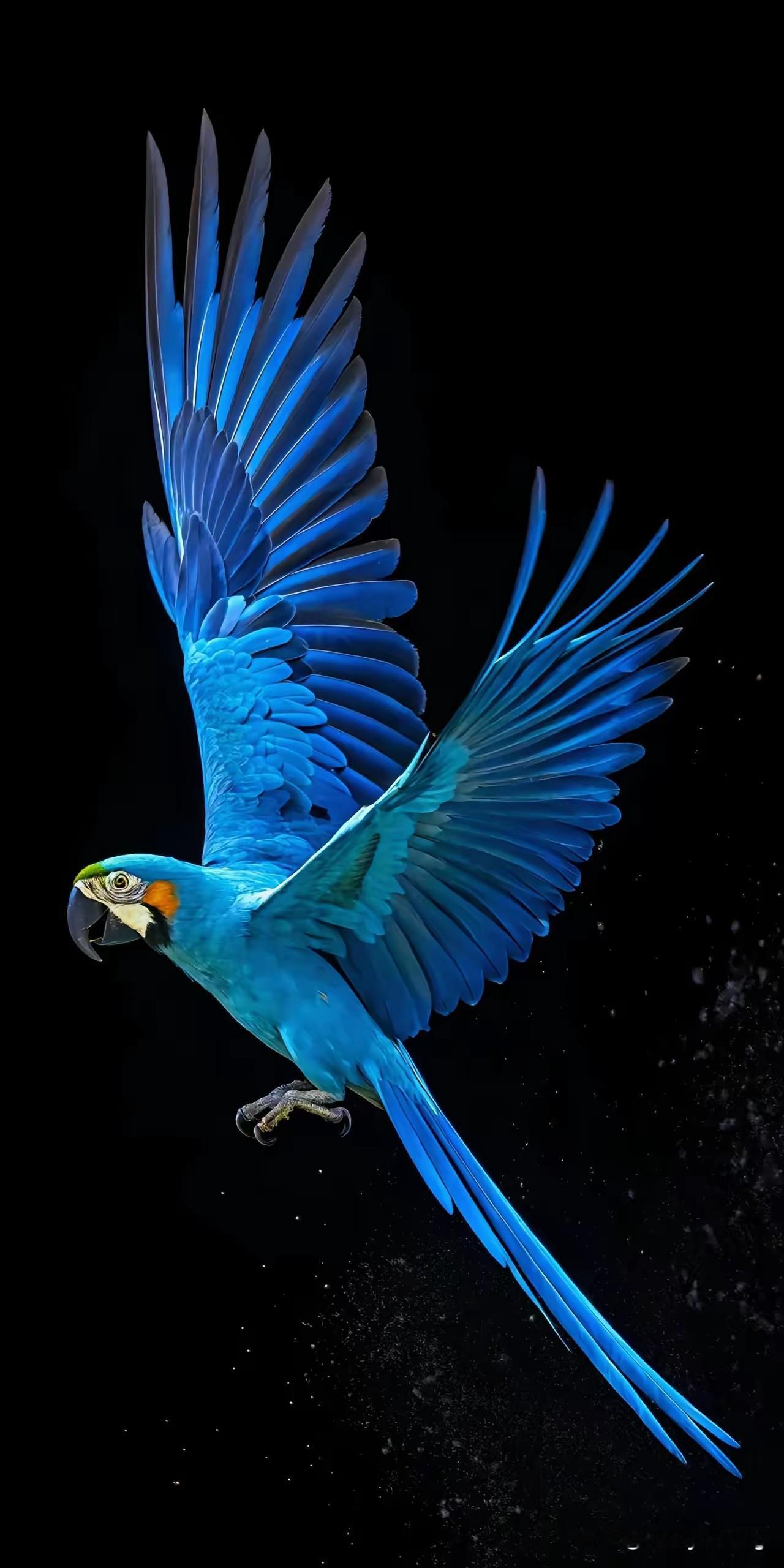 人生在世，总有些事做不成，很多人会为此懊恼。其实这说不定是老天在保护你呢！弘