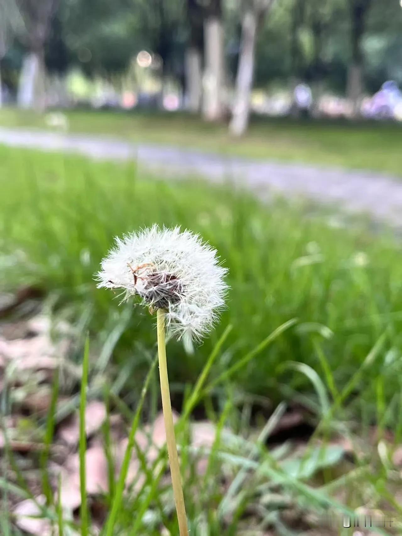 现在的小孩子真可怜。亲戚家的女儿刚上幼儿园中班，暑假就报了各种班，舞蹈班，美术班