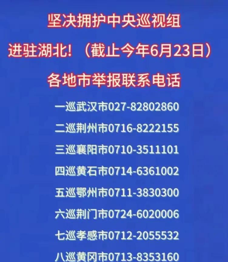 正义的中央巡视组进驻湖北，黑恶势力，流氓地痞，贪官污吏瑟瑟发抖！正义的中央巡视