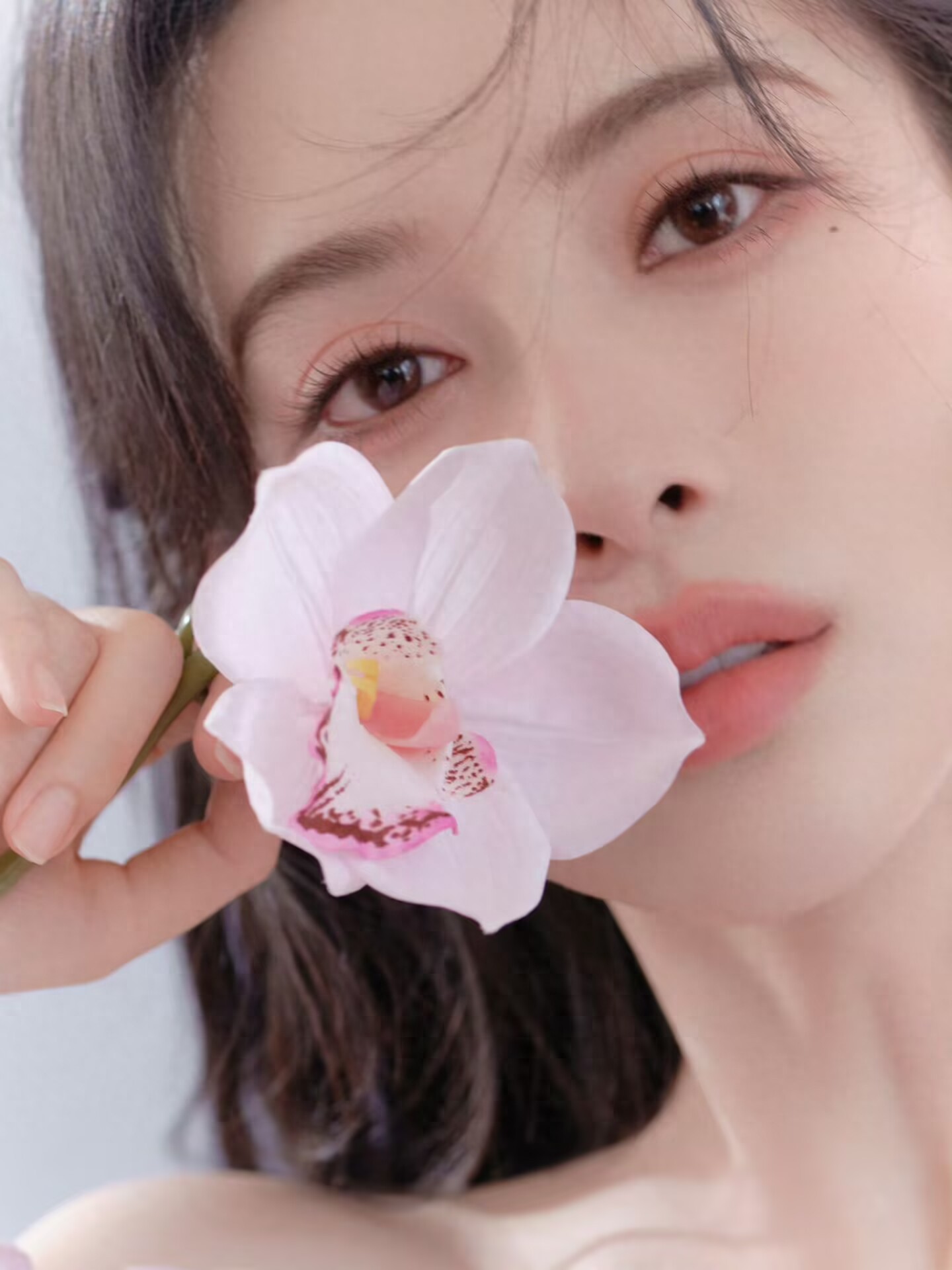 孟子义花仙子写真：温柔灵动、甜美清新！