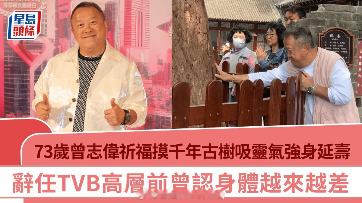 73岁曾志伟现身大孤山祈福摸千年古树吸灵气强身延寿辞任TVB高层前曾认