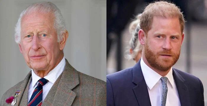 哈里王子遭前王室助手公开“训话”：别当受害者了，当英雄吧！网友：这话早该说了…