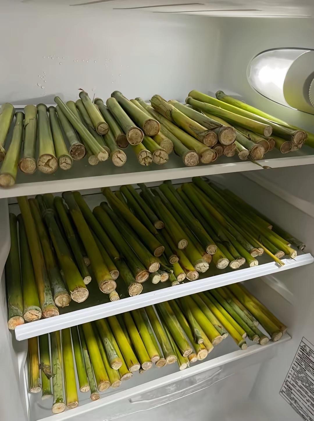 这怎么储存能长久…