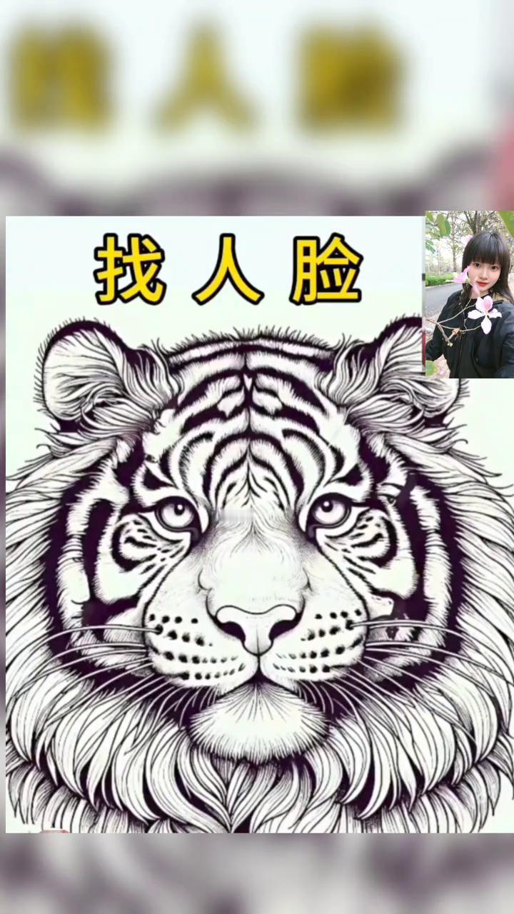 最难的找人脸图。我问了五百个人，也没有一个人能找到这张图中的人脸。谁要是能找到