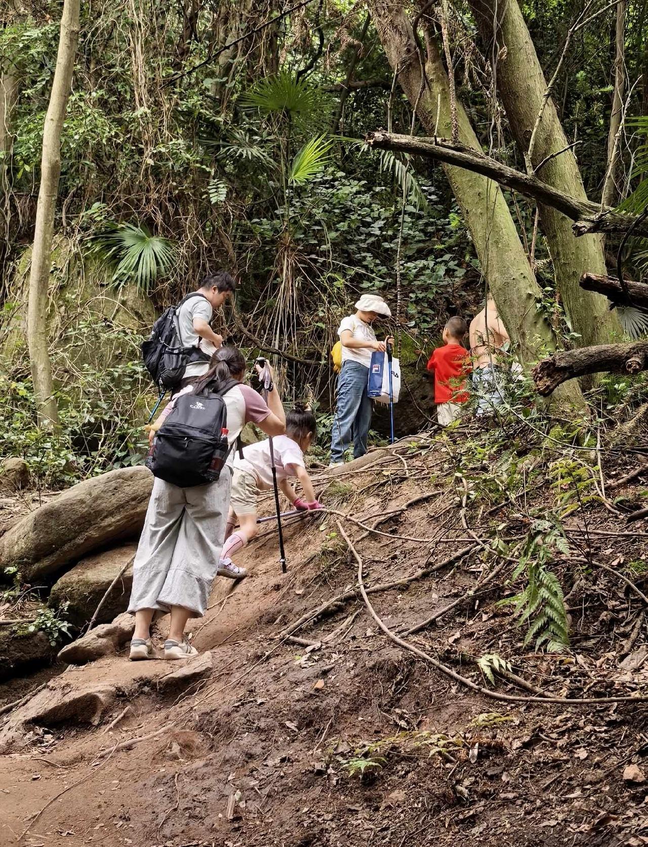 5岁半挑战彭州老鹰岩｜山野探险徒步✨又带小朋友进山，体验一把野趣满满的徒步⛰️