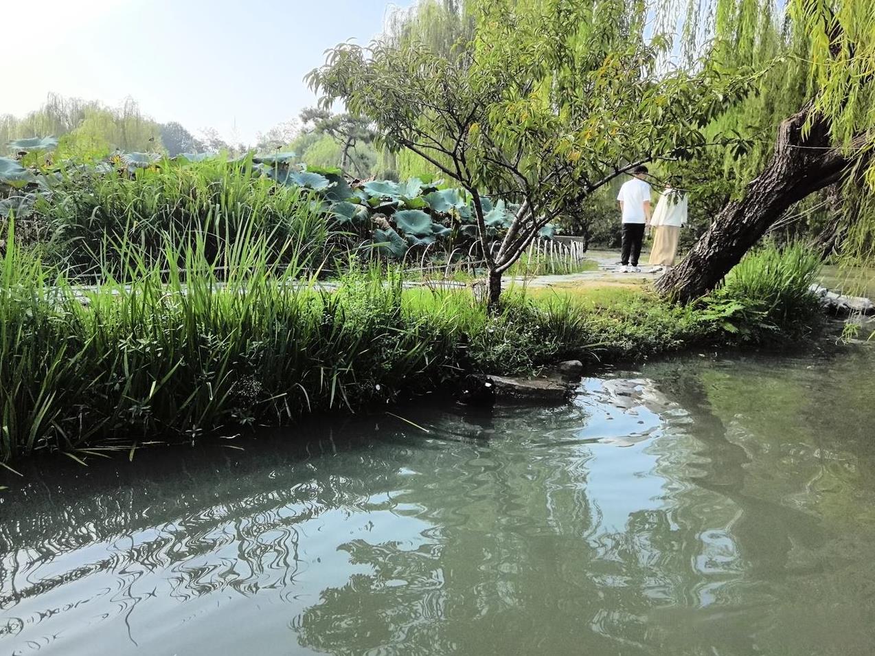 扬州之行，给了我一个教训：要跟孩子，大胆地谈钱来扬州之前，我在网上订火车票和酒