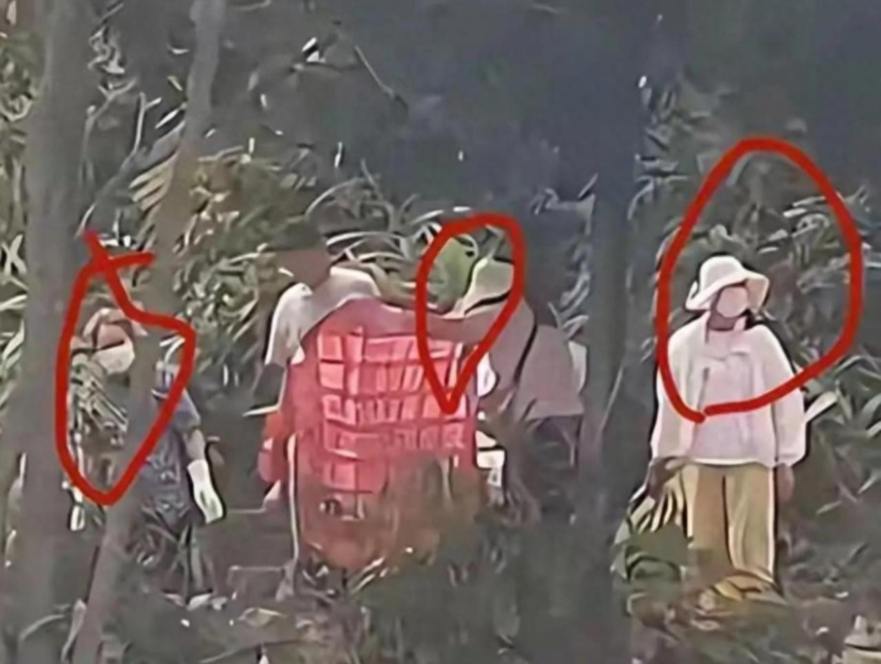 水库放生竟杀三千猫，功德名号下藏猫贩链，死亡真相引多方调查。广东清远水库边发生