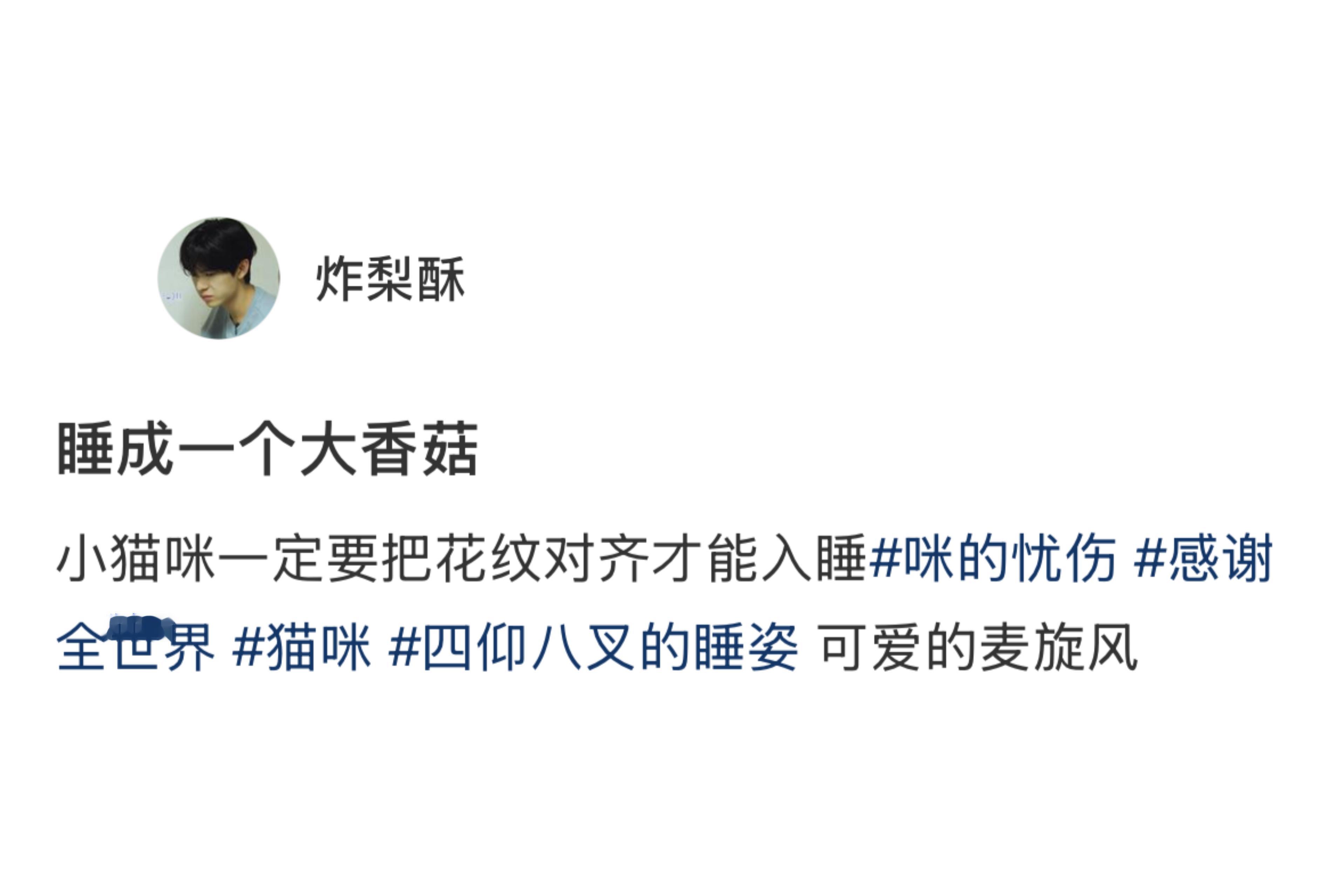 猫咪伪装成香菇睡觉