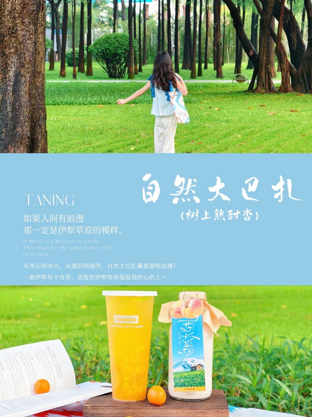 喜欢甜杏味的夏天！有伊犁牧场自由的味道