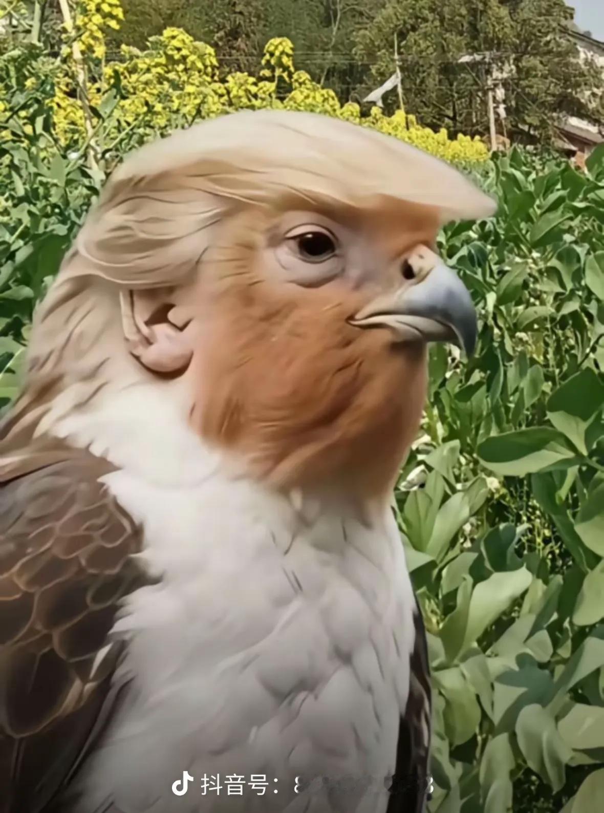 看图识人！