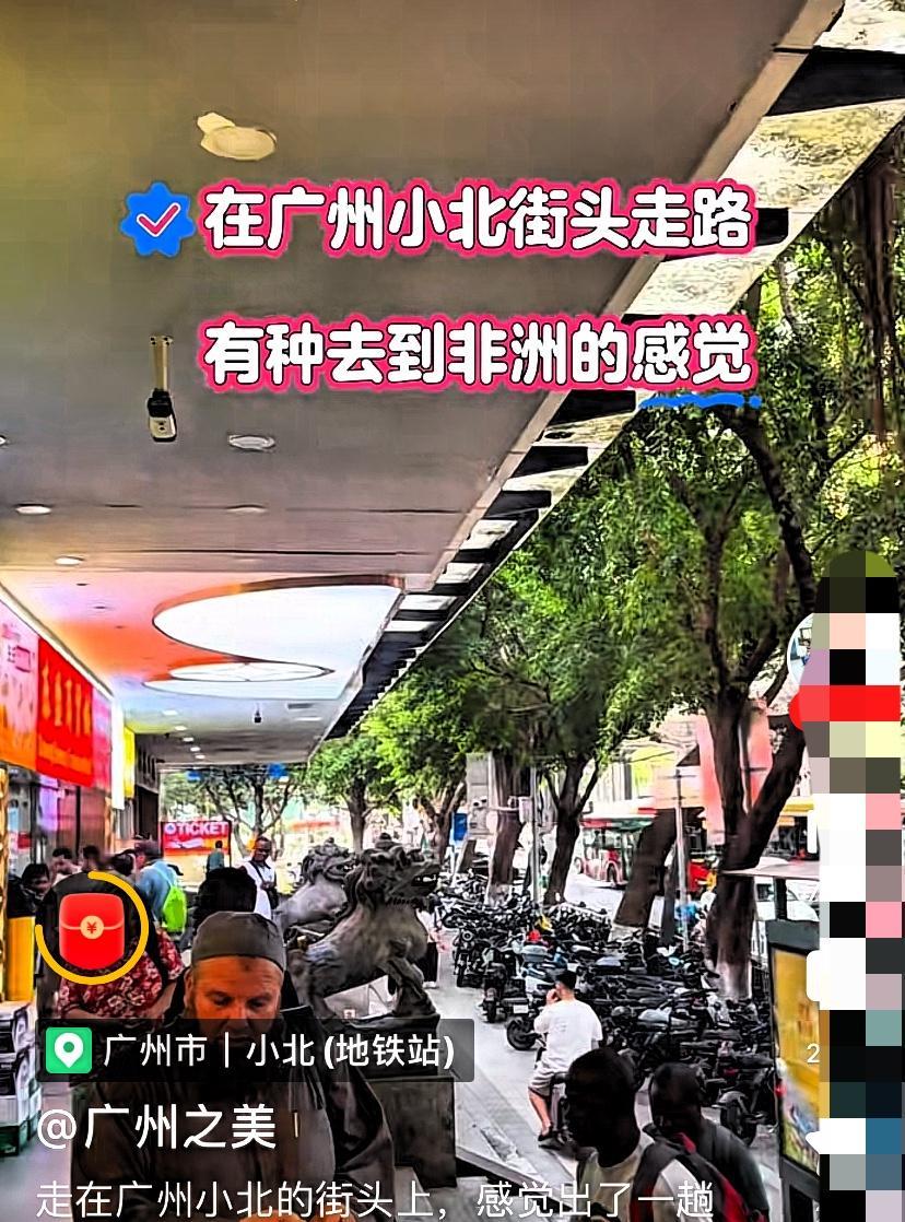 广州是全国黑人最多的城市，可见得，广州对黑人是情有独钟，关爱有加。从另一个层面讲