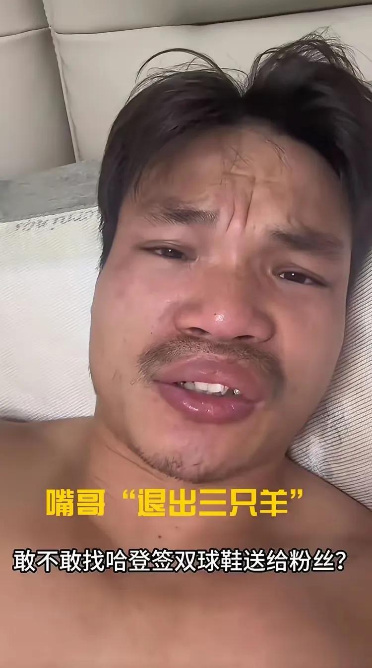 所有的辉煌都已经是成为了过去，回想当年有多疯狂，今年就有多悲伤，嘴哥也是正式官宣