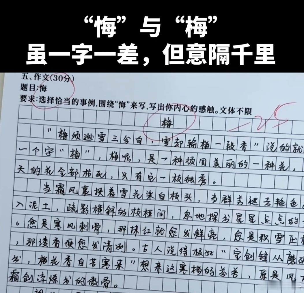 感觉还能救回来？结尾写上：写文至此，暮然回首，题目为悔，而我通篇为梅，甚至后悔，