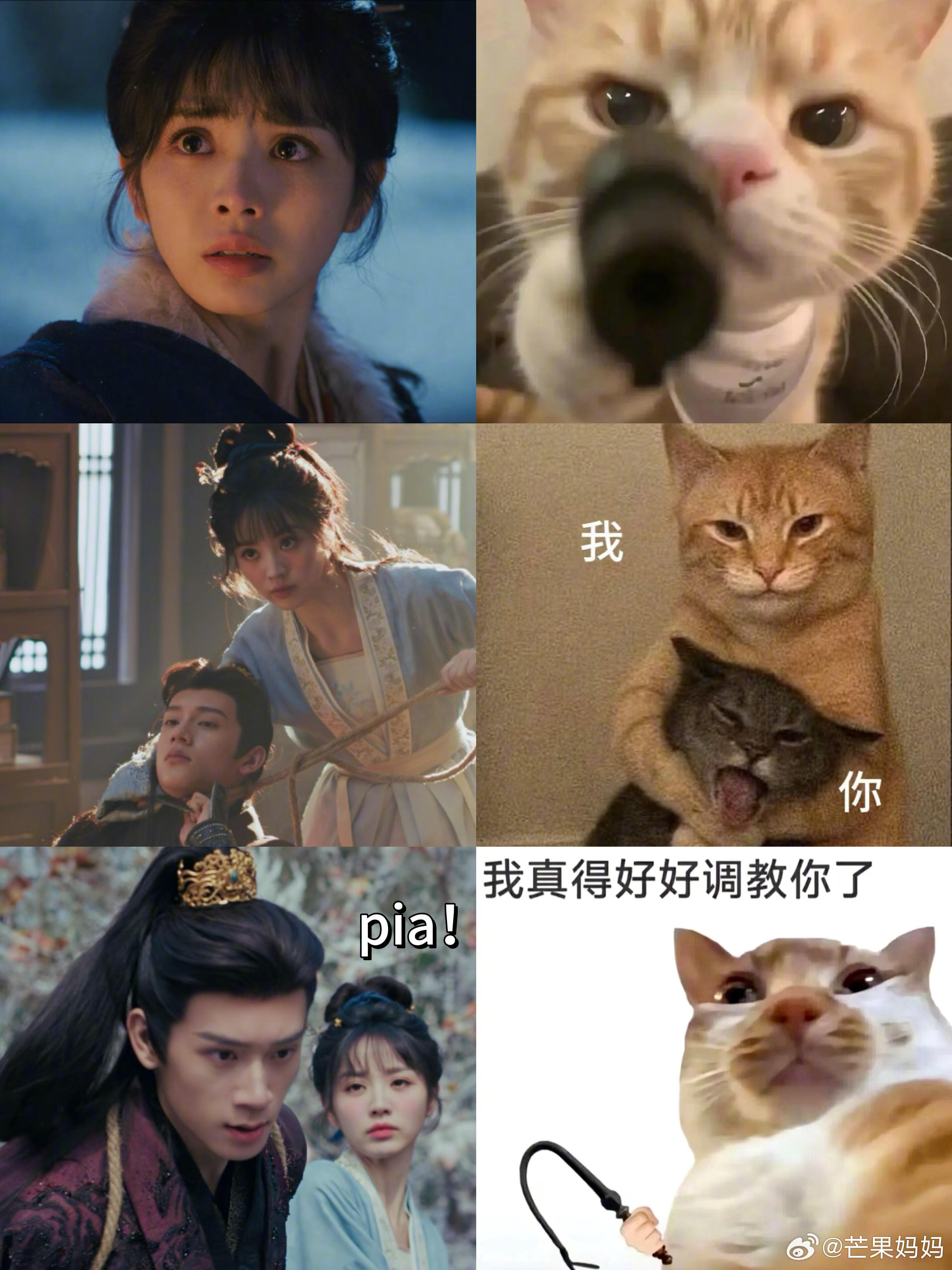 这个逐玉表情包怎么这么好笑啊哈哈哈哈哈