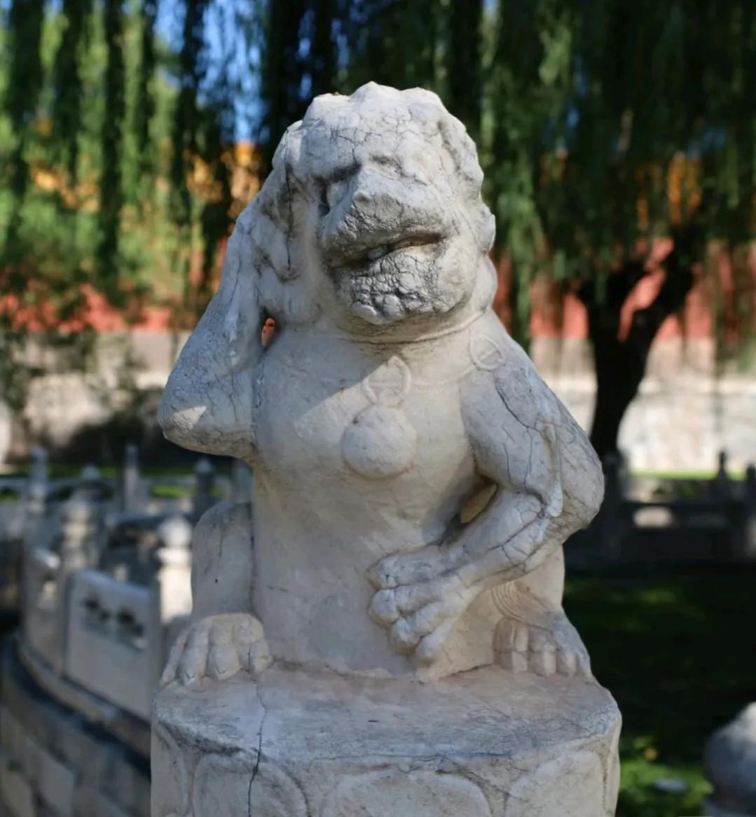 这么可爱的狮子竟然是皇帝一生的伤痛！在故宫的断虹桥上，矗立着一只与众不同的石狮子