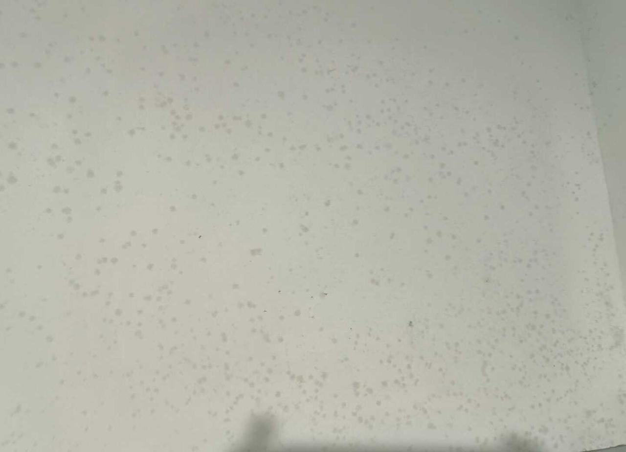 长沙你把我害得好惨从一个干到要死的地方来到一个湿到要死的地方北方人真的没见识