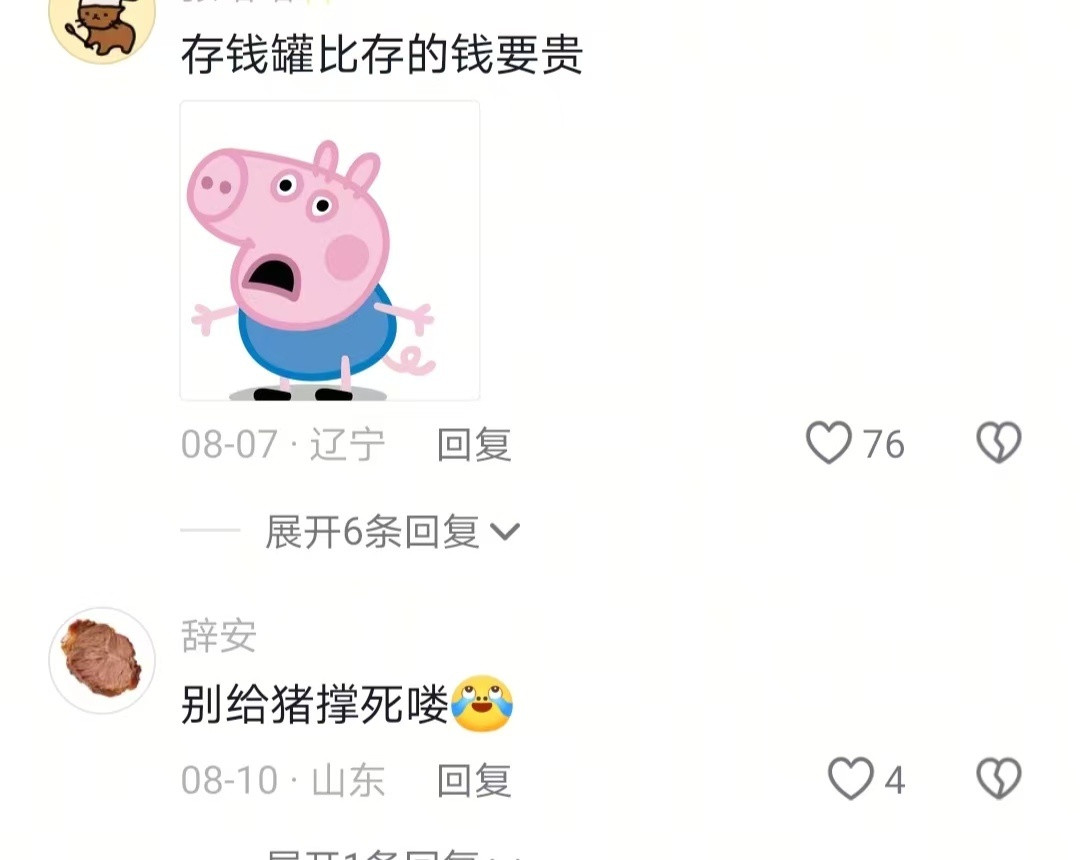 终于找到适合我经济状况的存钱罐了